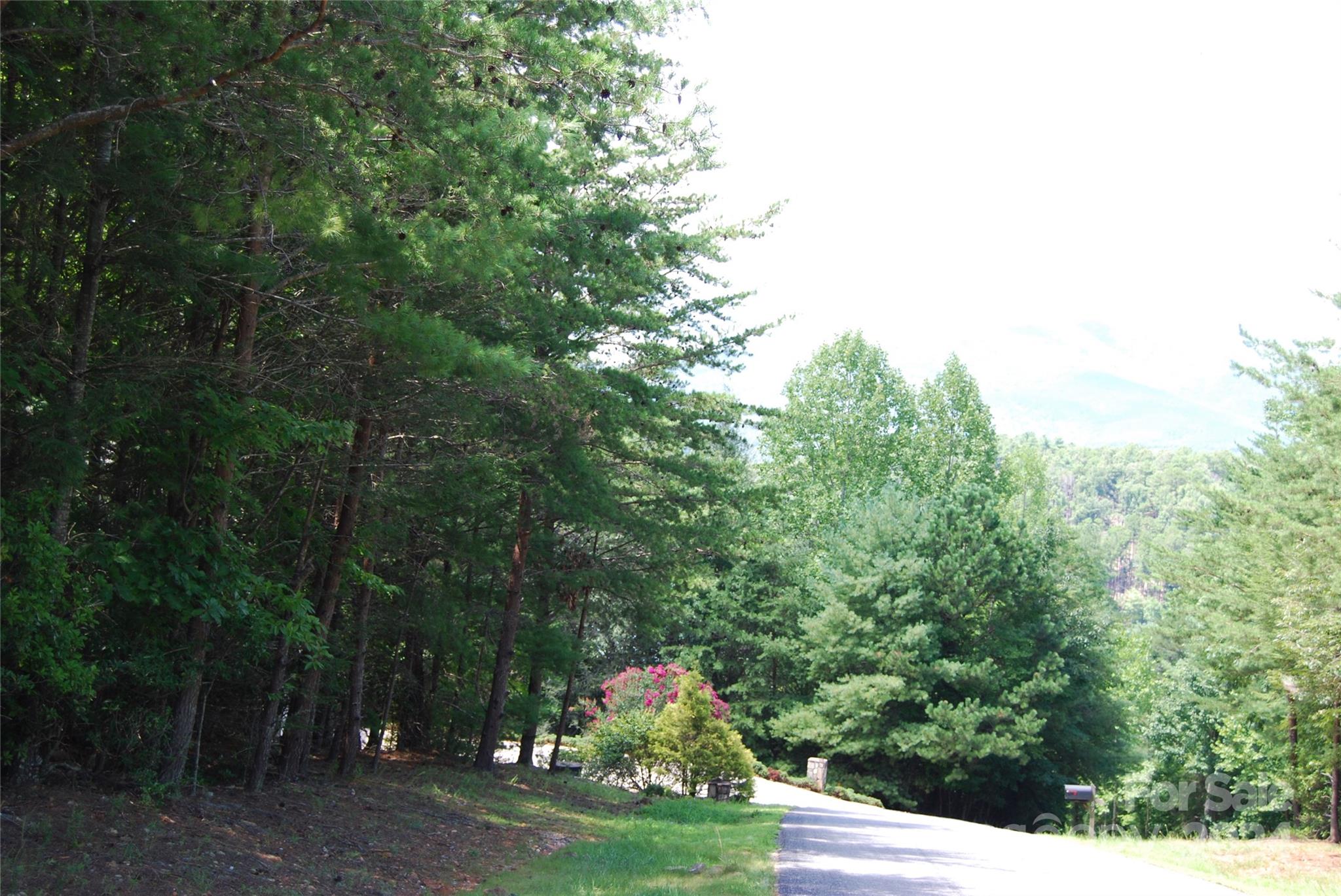 65 Dockside Drive Nebo NC 28761