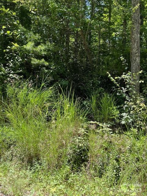 0 Pleasant Grove Church Road Hendersonville NC 28792