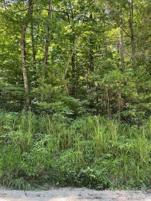 0 Pleasant Grove Church Road Hendersonville NC 28792