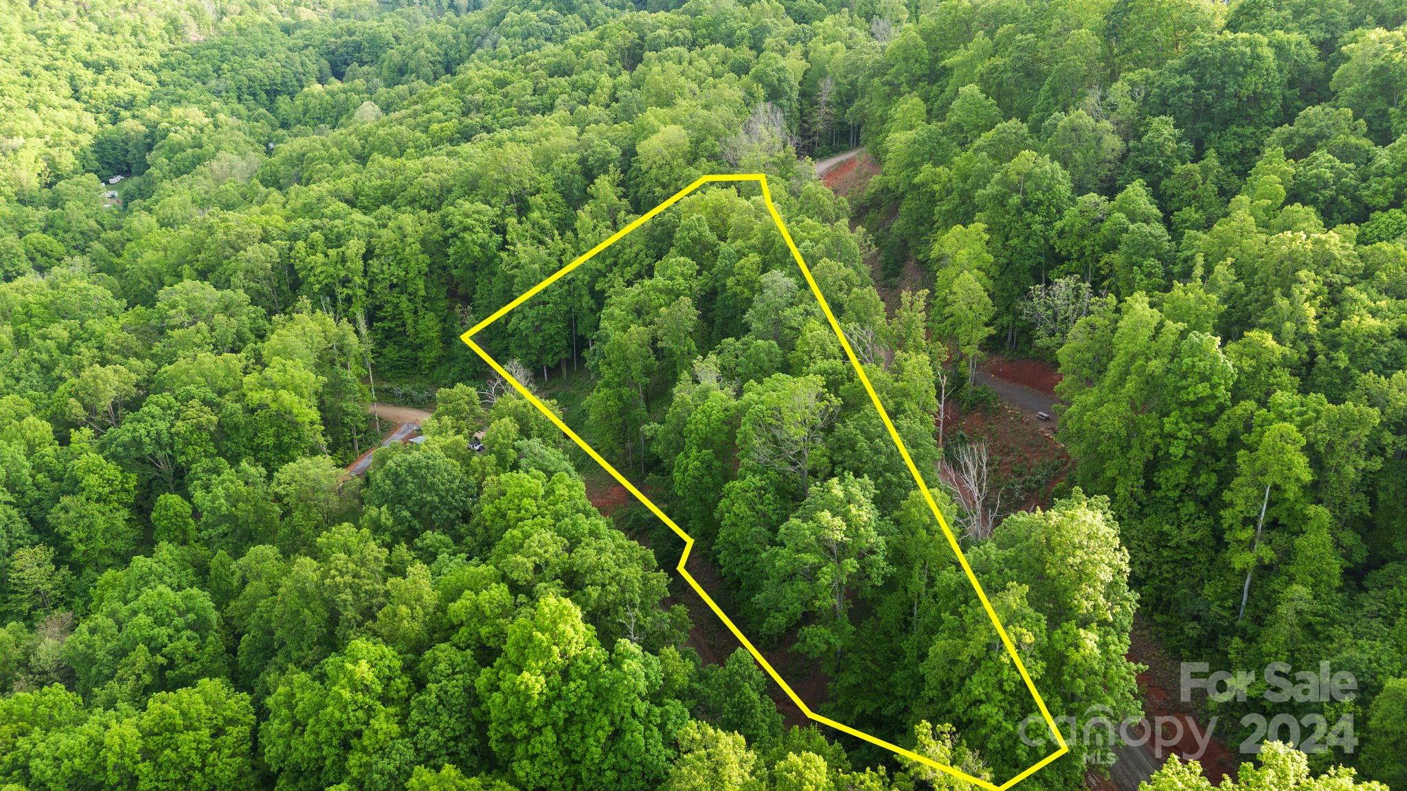 99999 Dillingham Estates Trail Swannanoa NC 28778