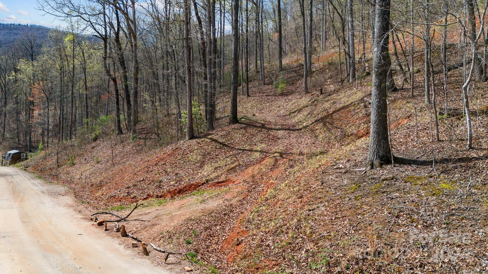 99999 Dillingham Estates Trail Swannanoa NC 28778