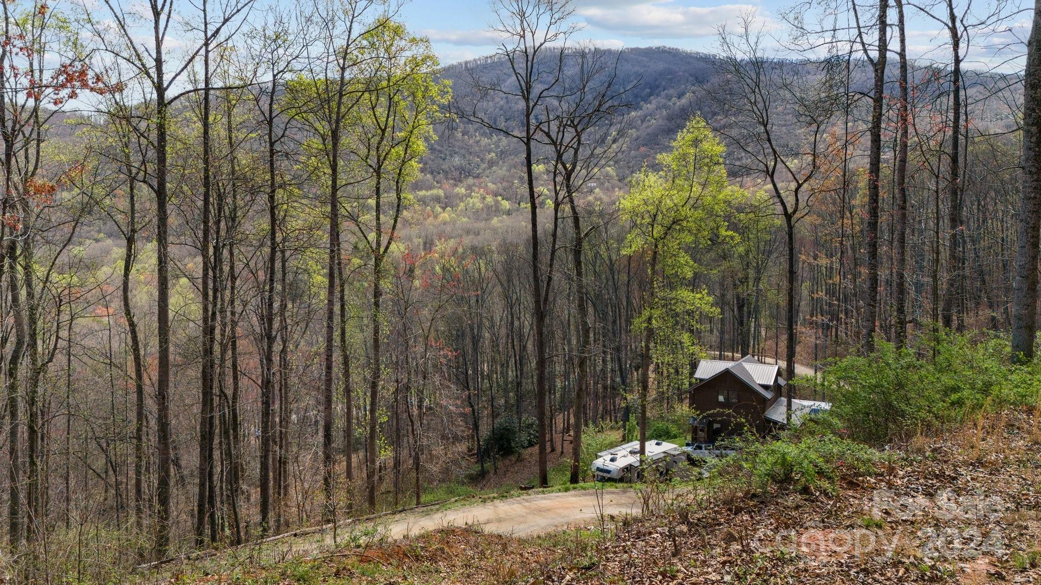 99999 Dillingham Estates Trail Swannanoa NC 28778