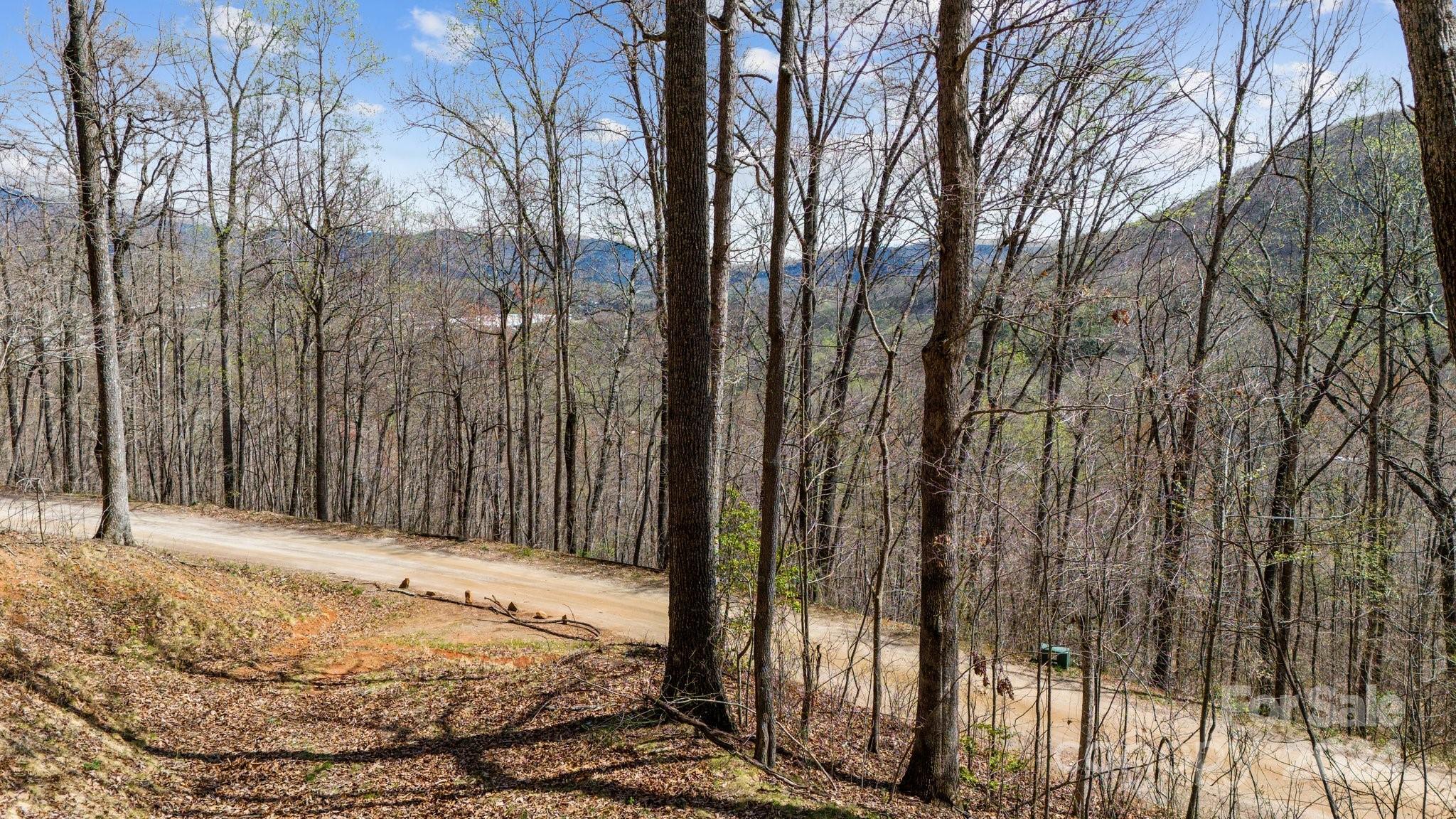 99999 Dillingham Estates Trail Swannanoa NC 28778