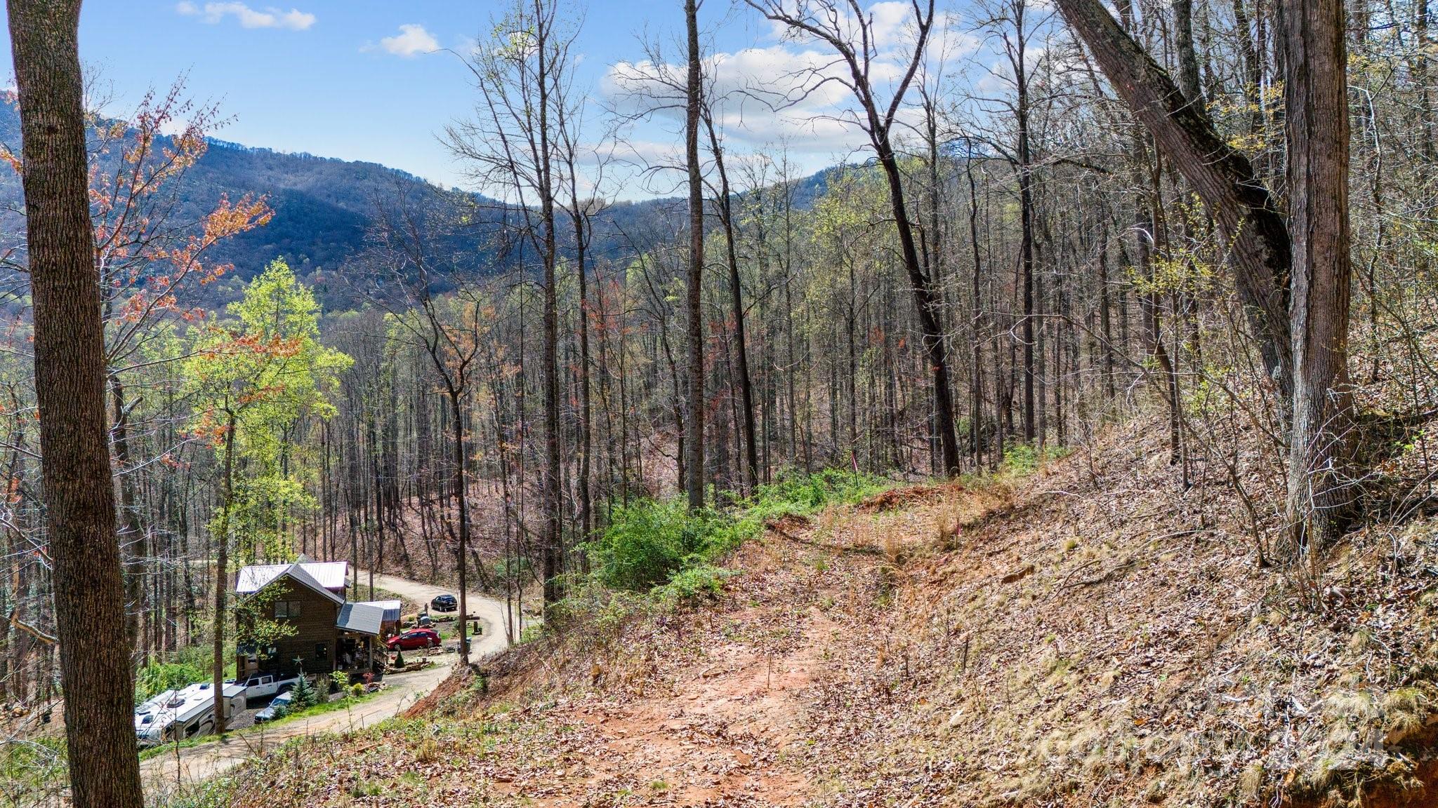 99999 Dillingham Estates Trail Swannanoa NC 28778