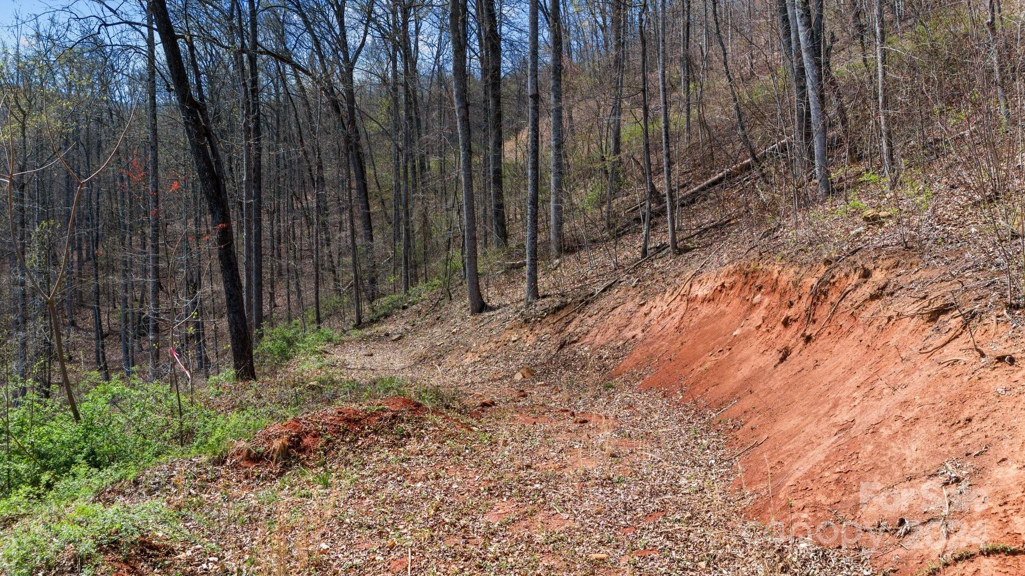 99999 Dillingham Estates Trail Swannanoa NC 28778