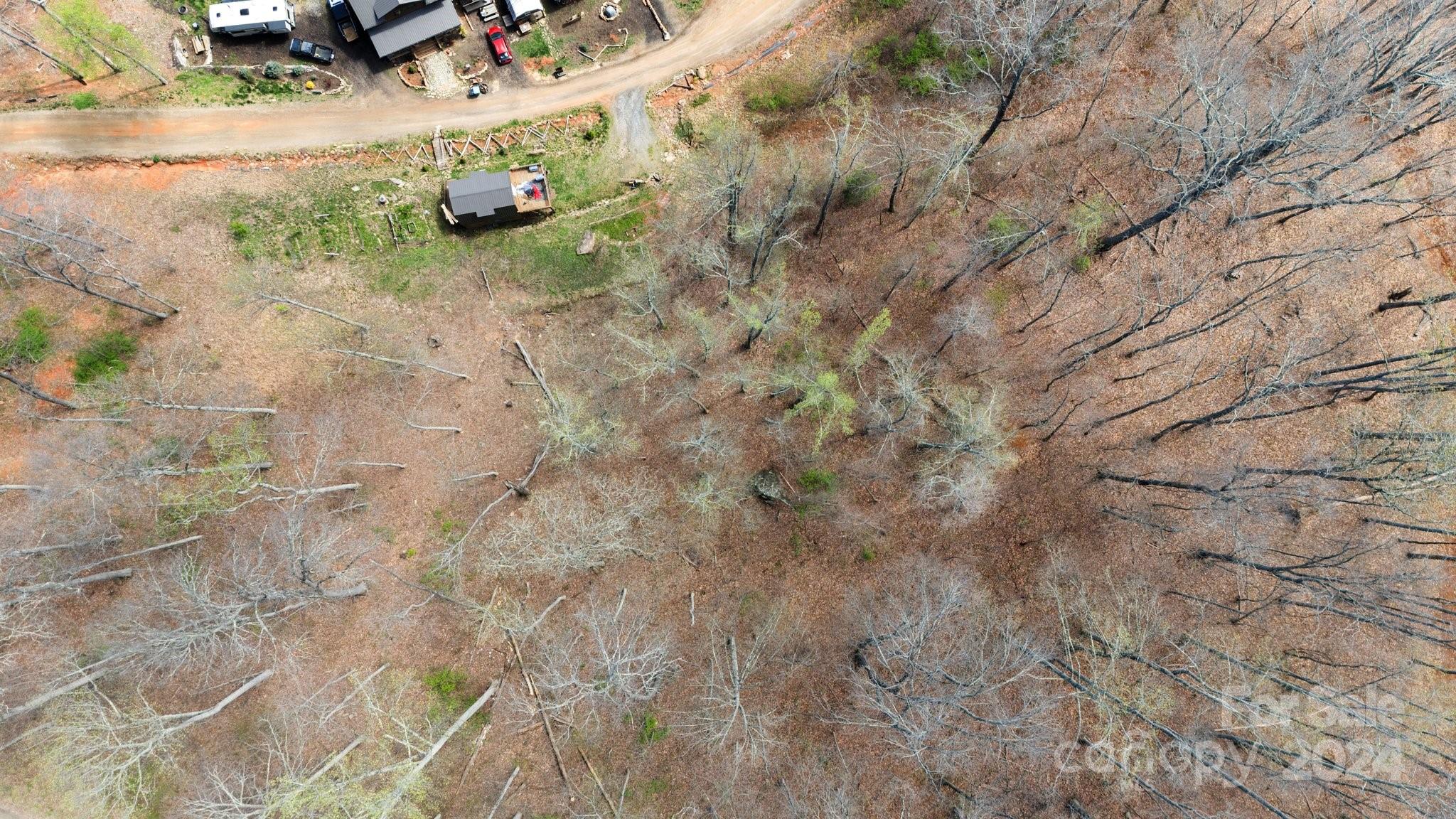 99999 Dillingham Estates Trail Swannanoa NC 28778