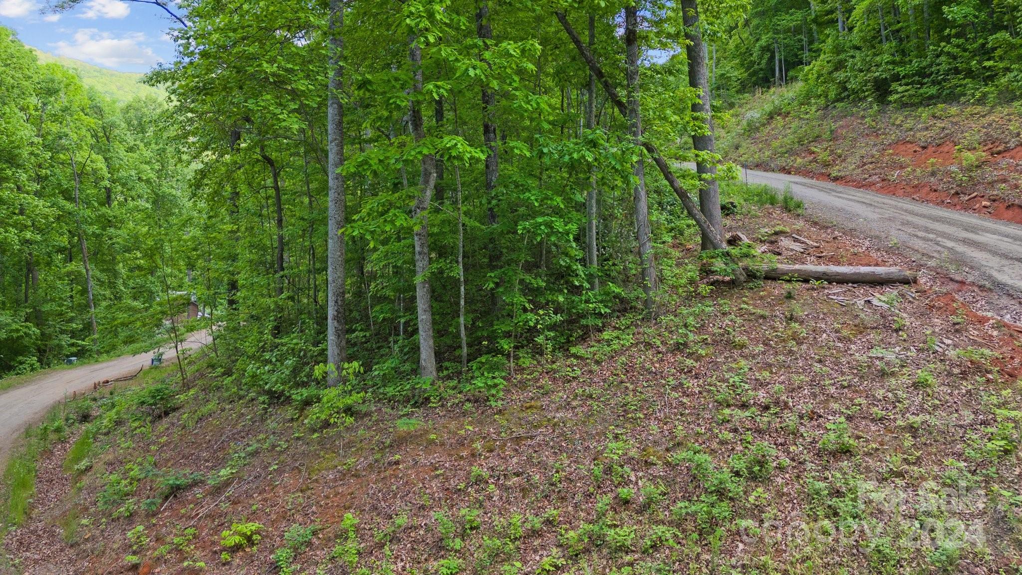 99999 Dillingham Estates Trail Swannanoa NC 28778