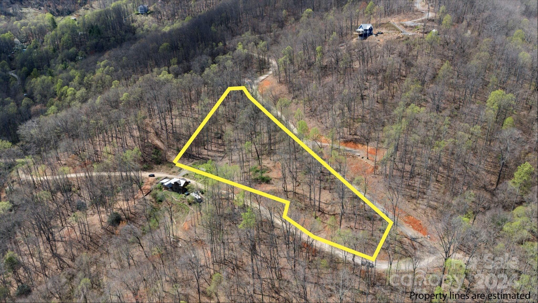 99999 Dillingham Estates Trail Swannanoa NC 28778