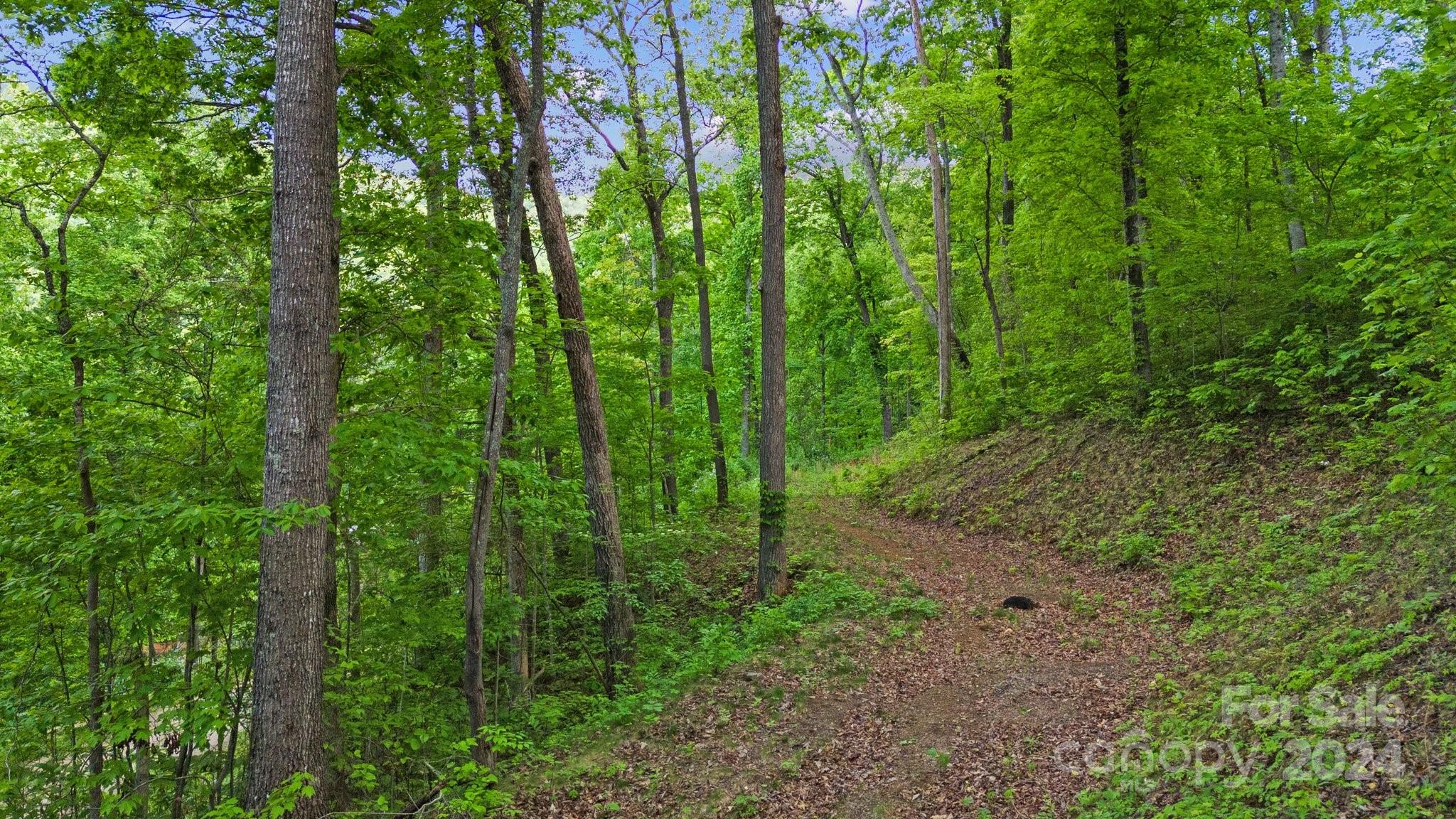 99999 Dillingham Estates Trail Swannanoa NC 28778