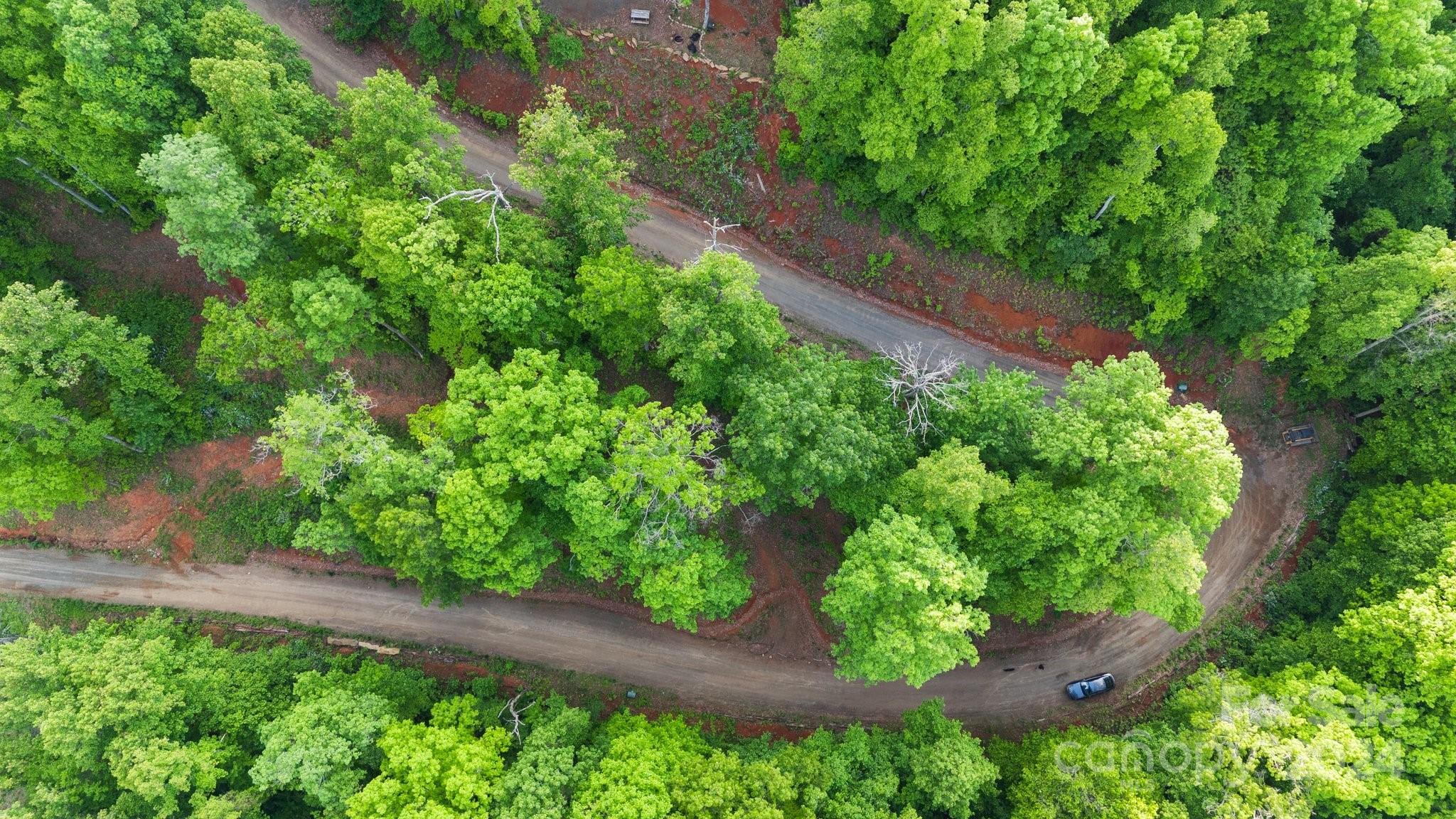 99999 Dillingham Estates Trail Swannanoa NC 28778