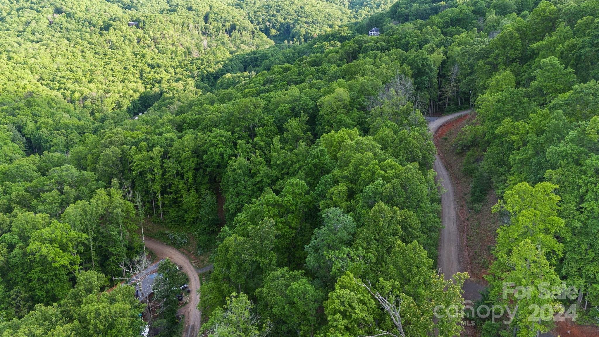 99999 Dillingham Estates Trail Swannanoa NC 28778