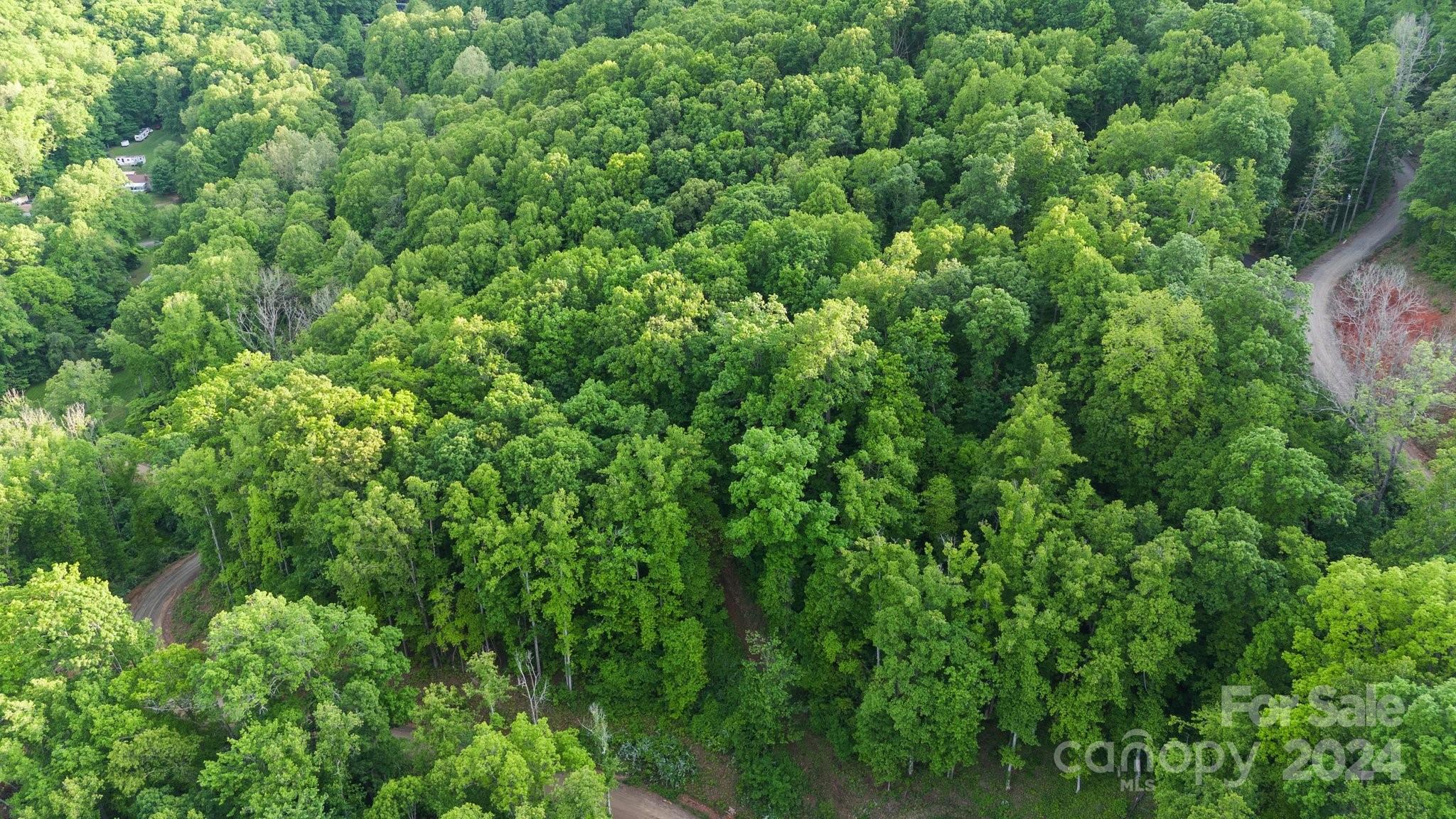 99999 Dillingham Estates Trail Swannanoa NC 28778