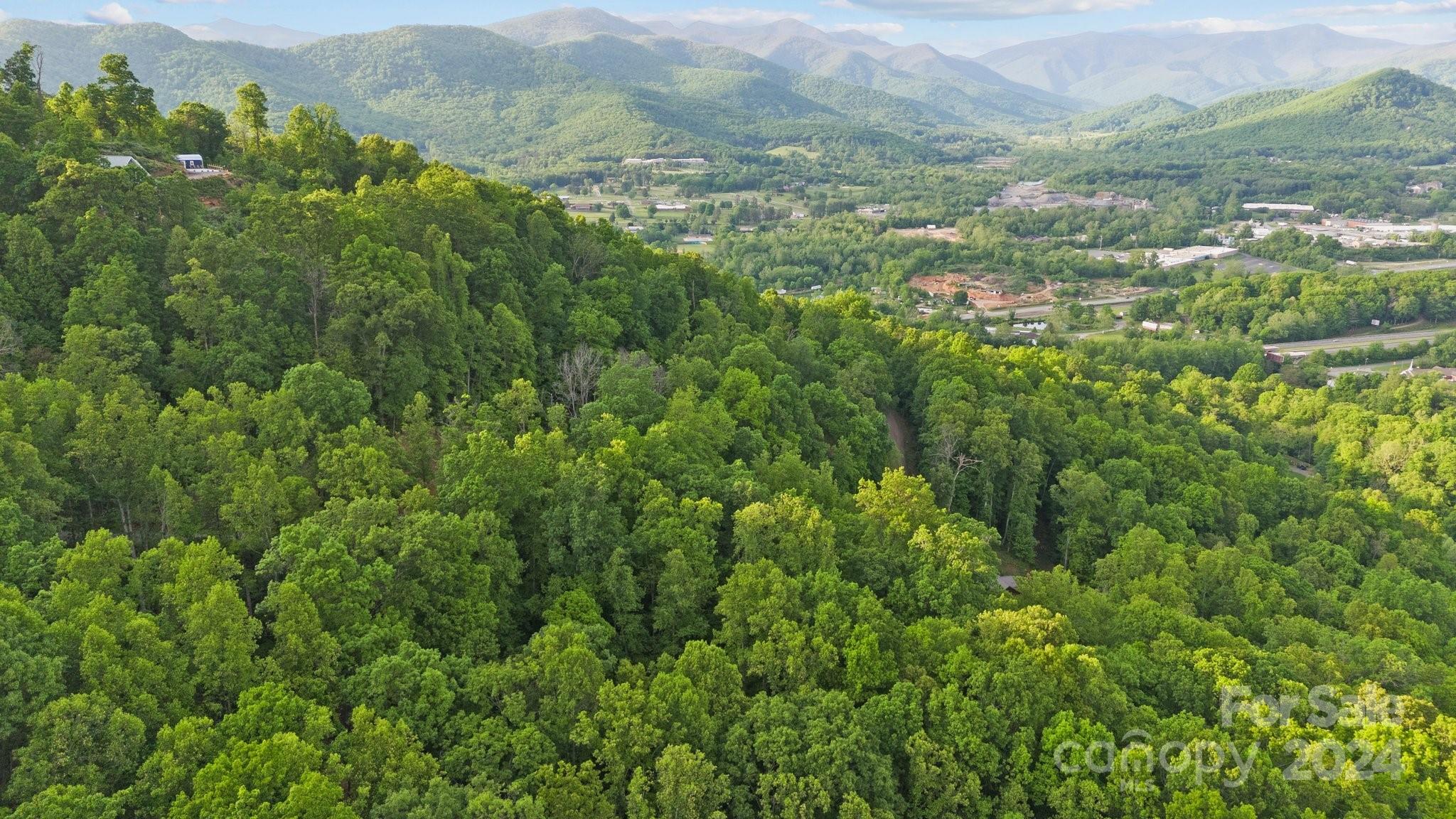 99999 Dillingham Estates Trail Swannanoa NC 28778