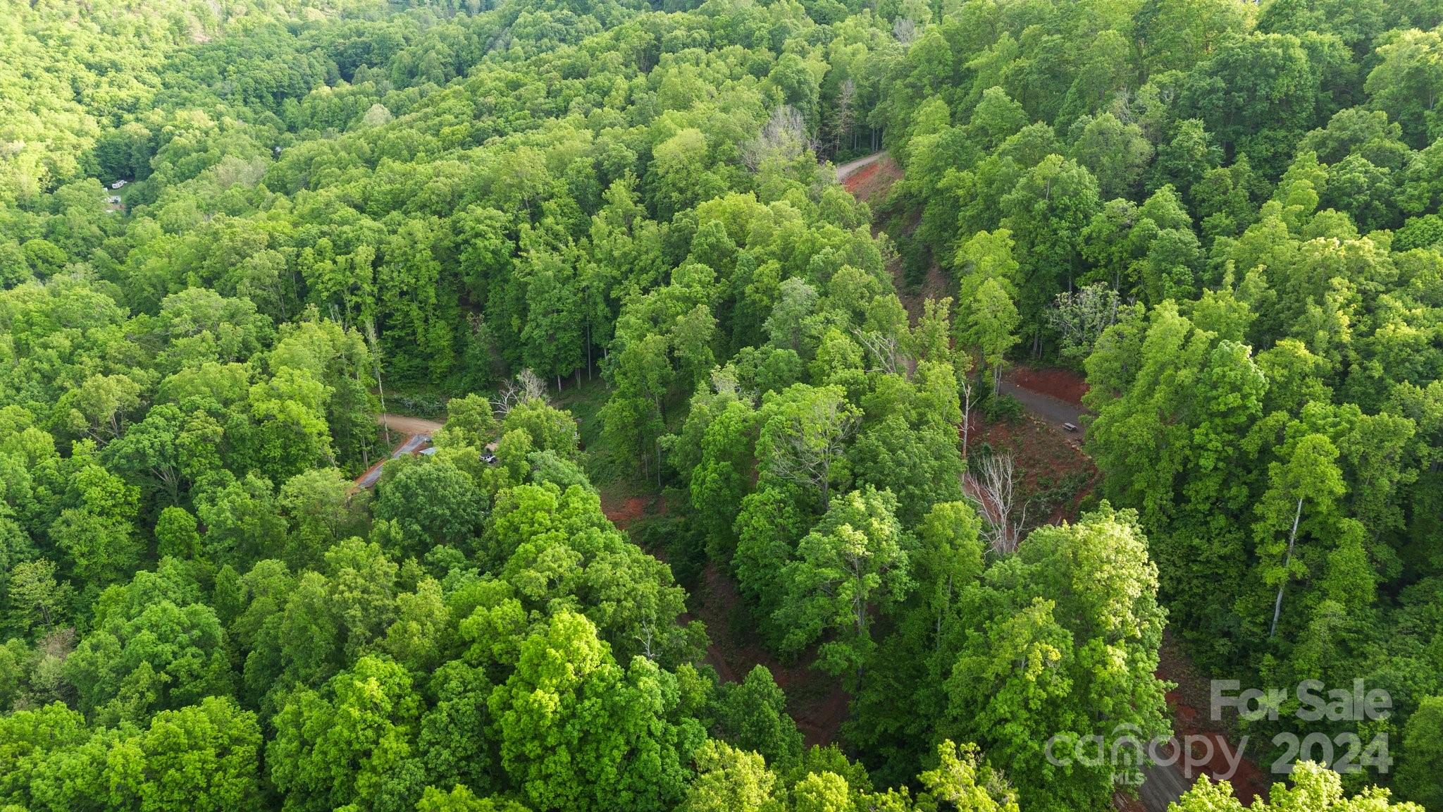 99999 Dillingham Estates Trail Swannanoa NC 28778