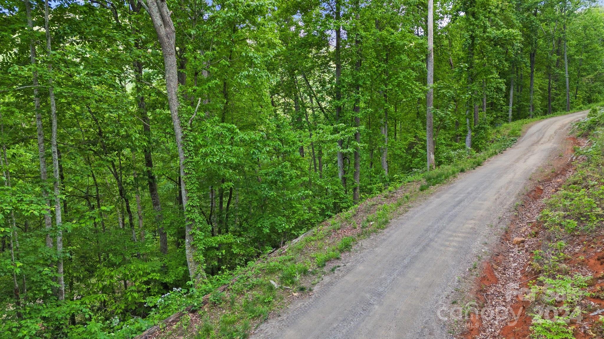 99999 Dillingham Estates Trail Swannanoa NC 28778