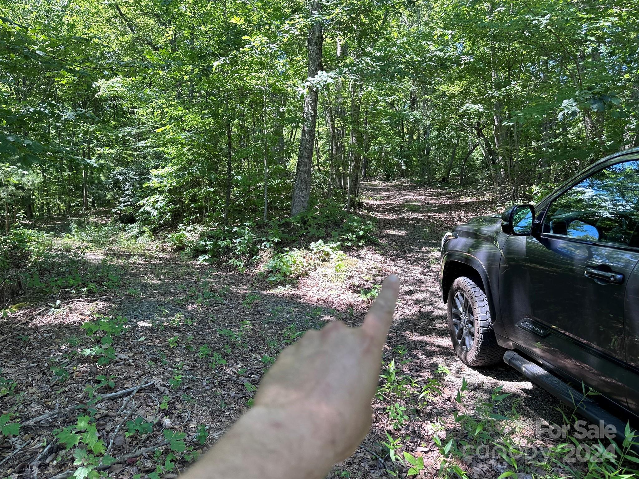 000 Destiny Farms Road Leicester NC 28748