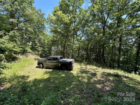 000 Destiny Farms Road Leicester NC 28748