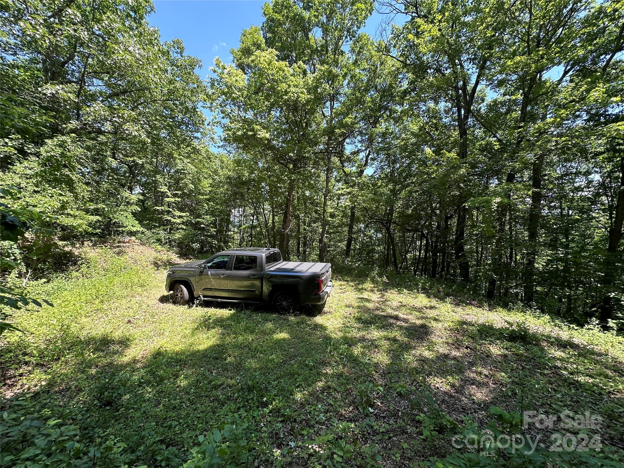 000 Destiny Farms Road Leicester NC 28748