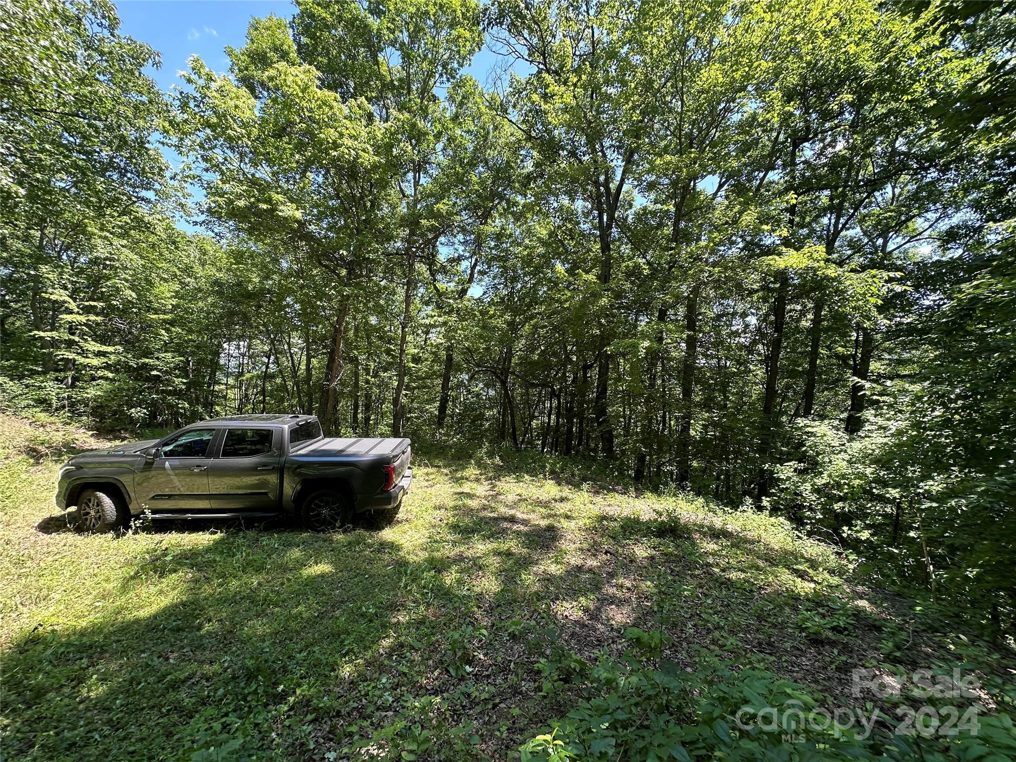 000 Destiny Farms Road Leicester NC 28748