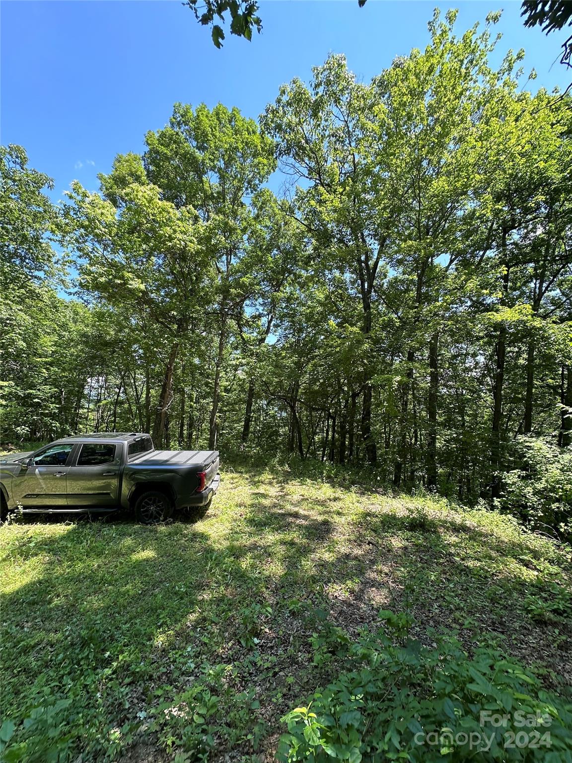 000 Destiny Farms Road Leicester NC 28748