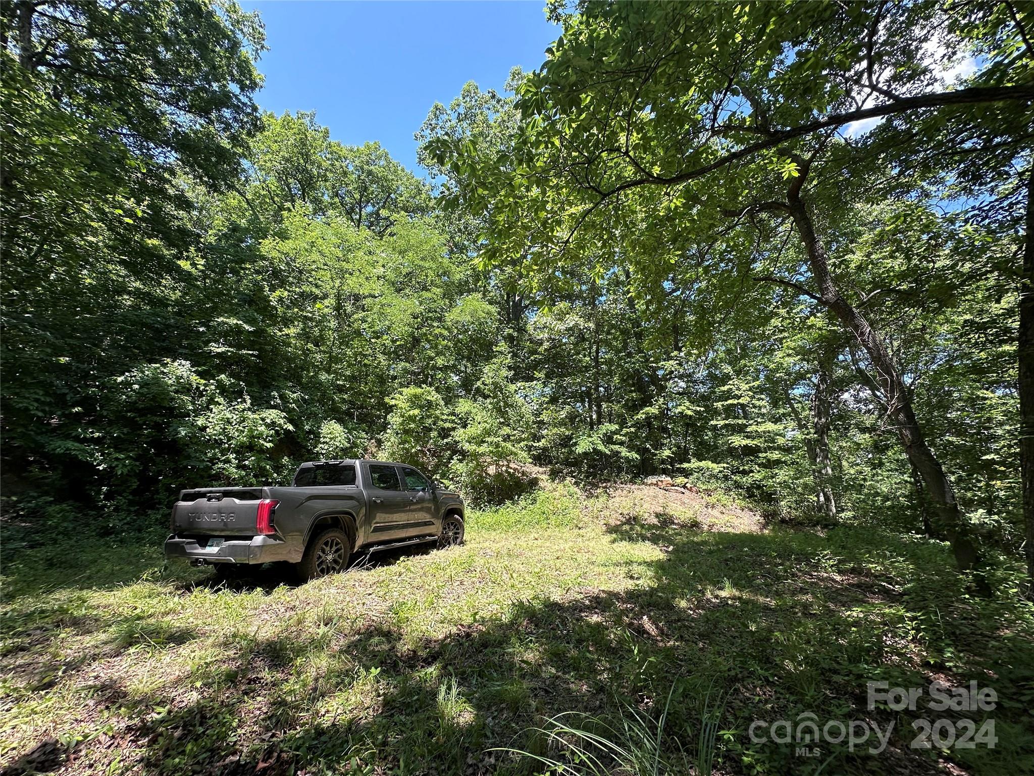 000 Destiny Farms Road Leicester NC 28748
