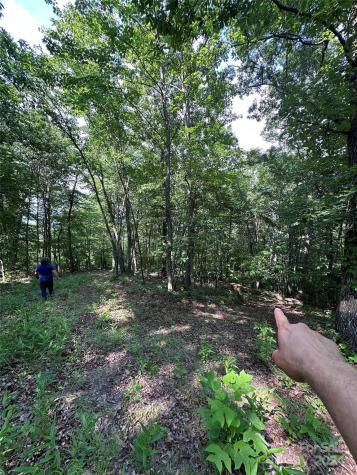 000 Destiny Farms Road Leicester NC 28748