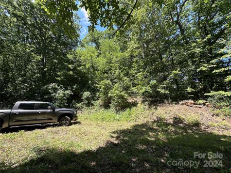 000 Destiny Farms Road Leicester NC 28748