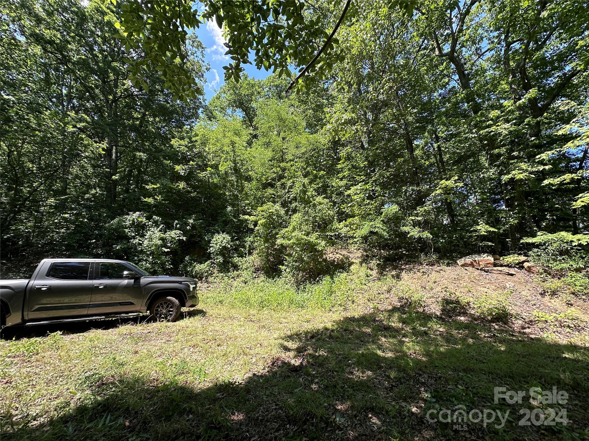 000 Destiny Farms Road Leicester NC 28748