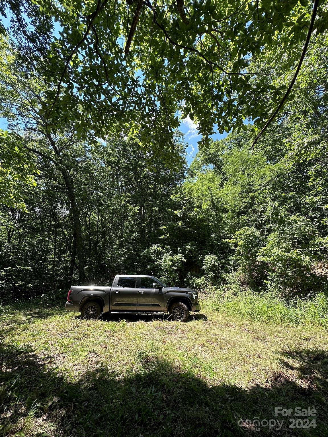000 Destiny Farms Road Leicester NC 28748