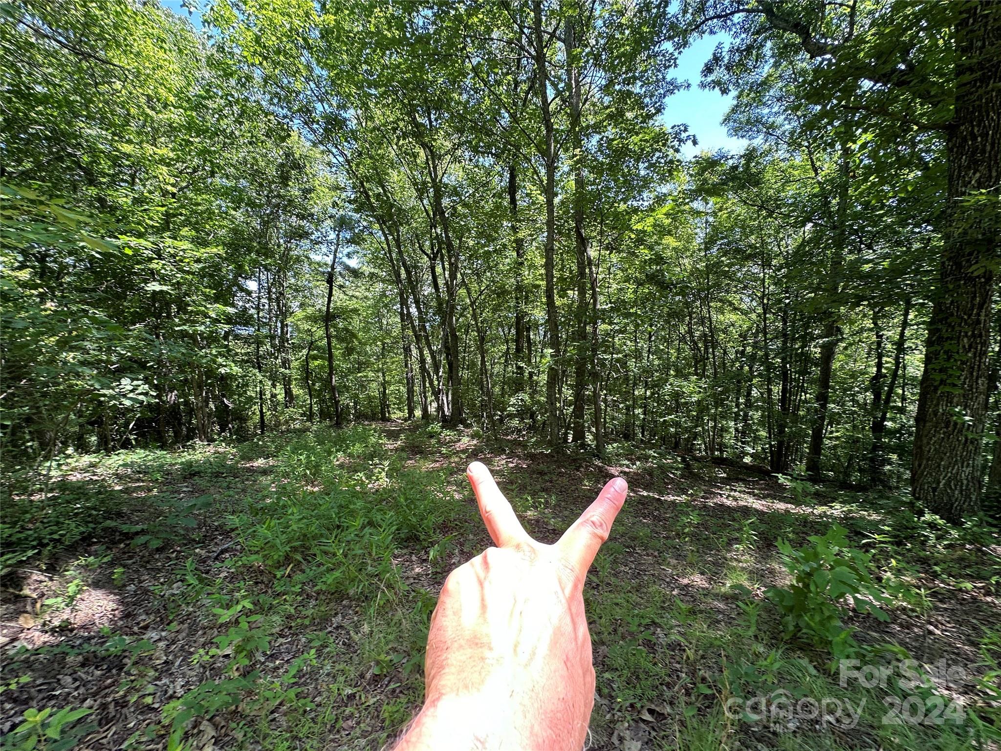 000 Destiny Farms Road Leicester NC 28748
