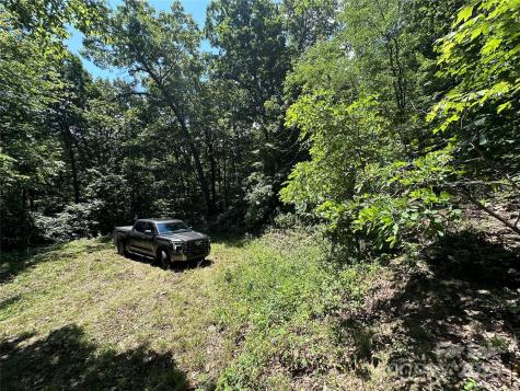 000 Destiny Farms Road Leicester NC 28748