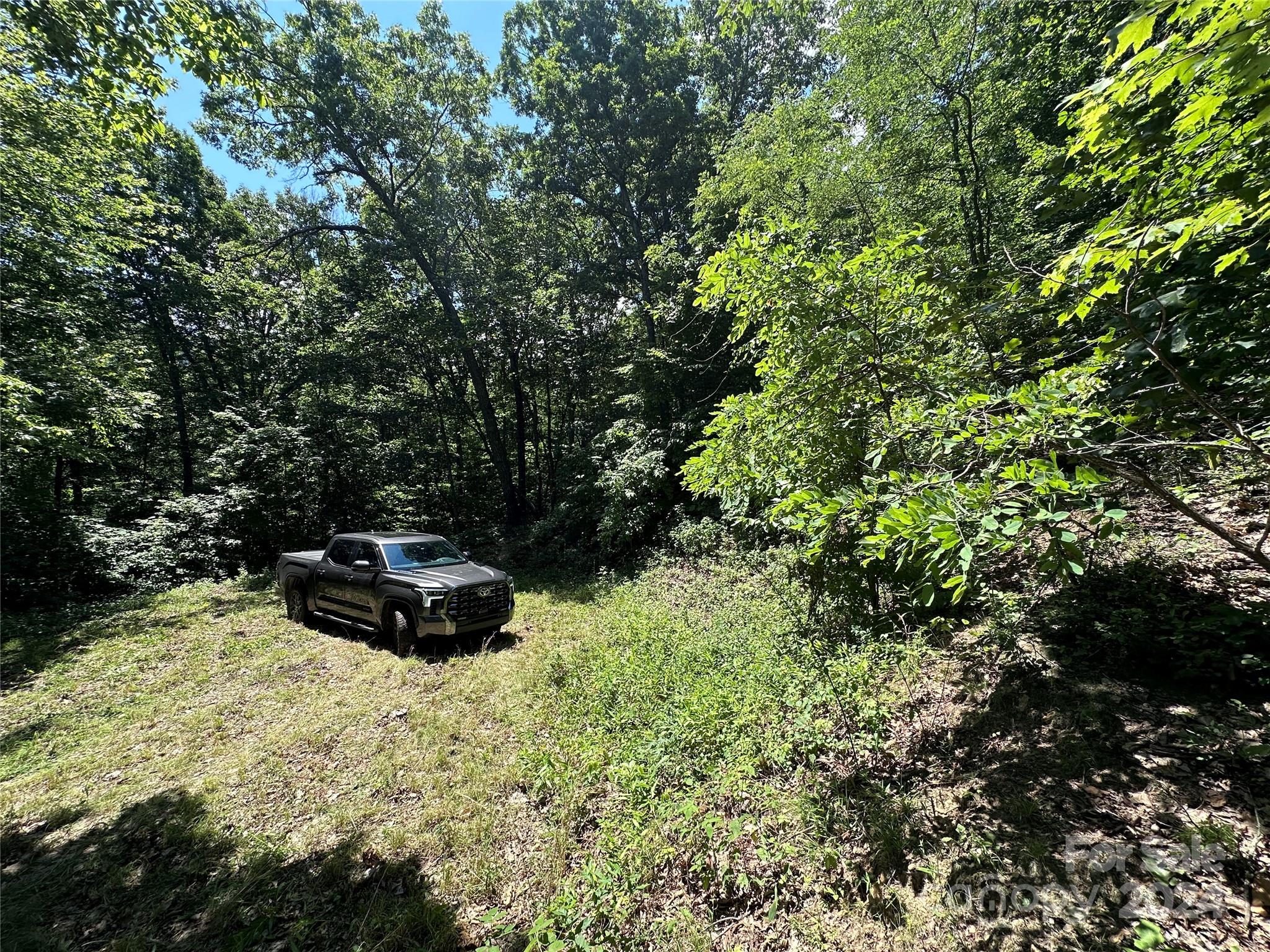 000 Destiny Farms Road Leicester NC 28748