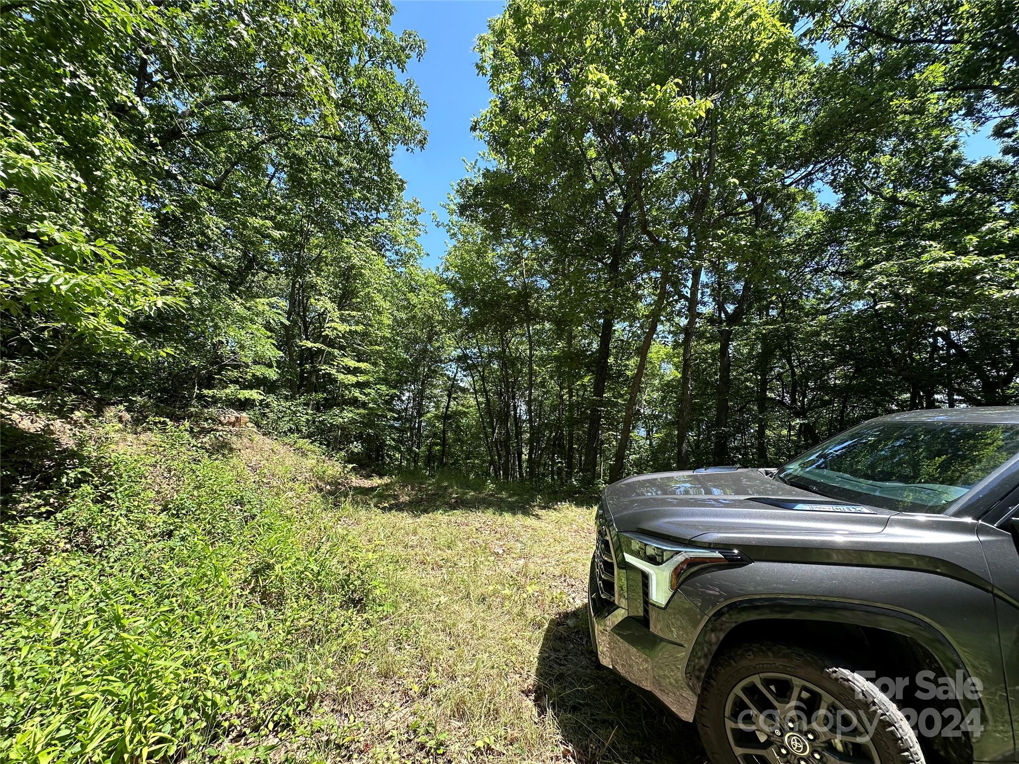 000 Destiny Farms Road Leicester NC 28748