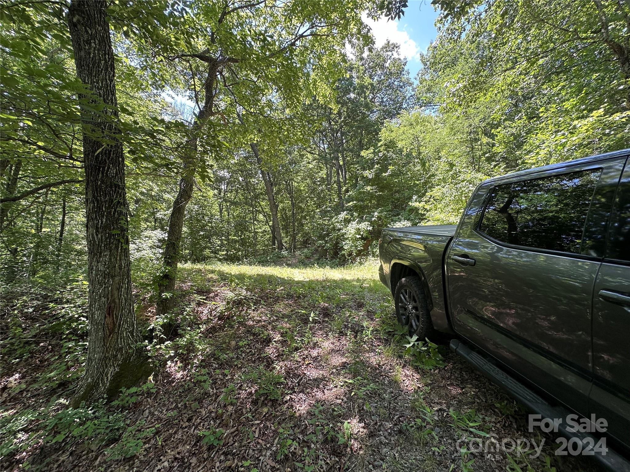 000 Destiny Farms Road Leicester NC 28748
