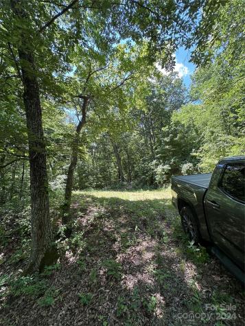 000 Destiny Farms Road Leicester NC 28748