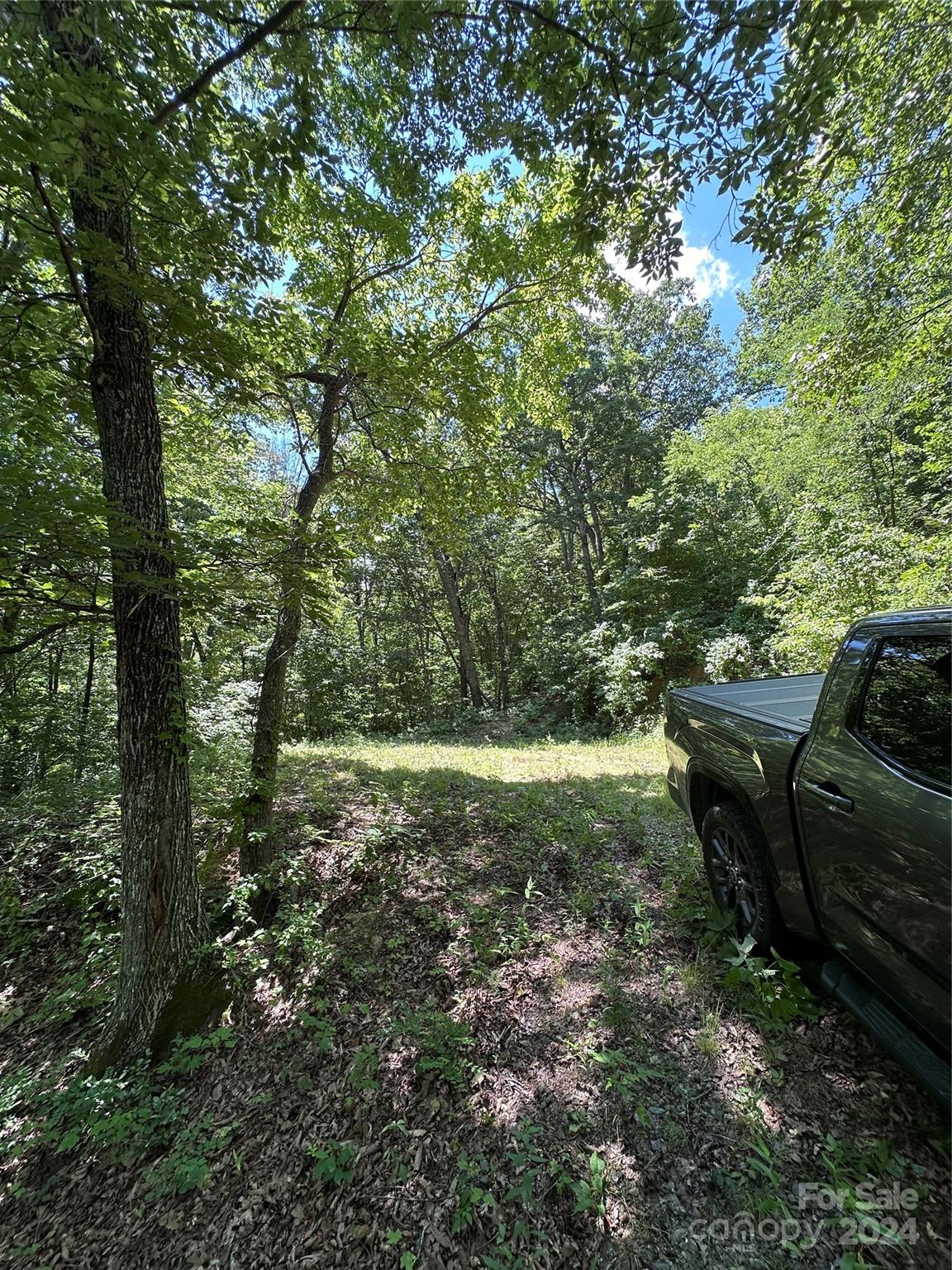 000 Destiny Farms Road Leicester NC 28748
