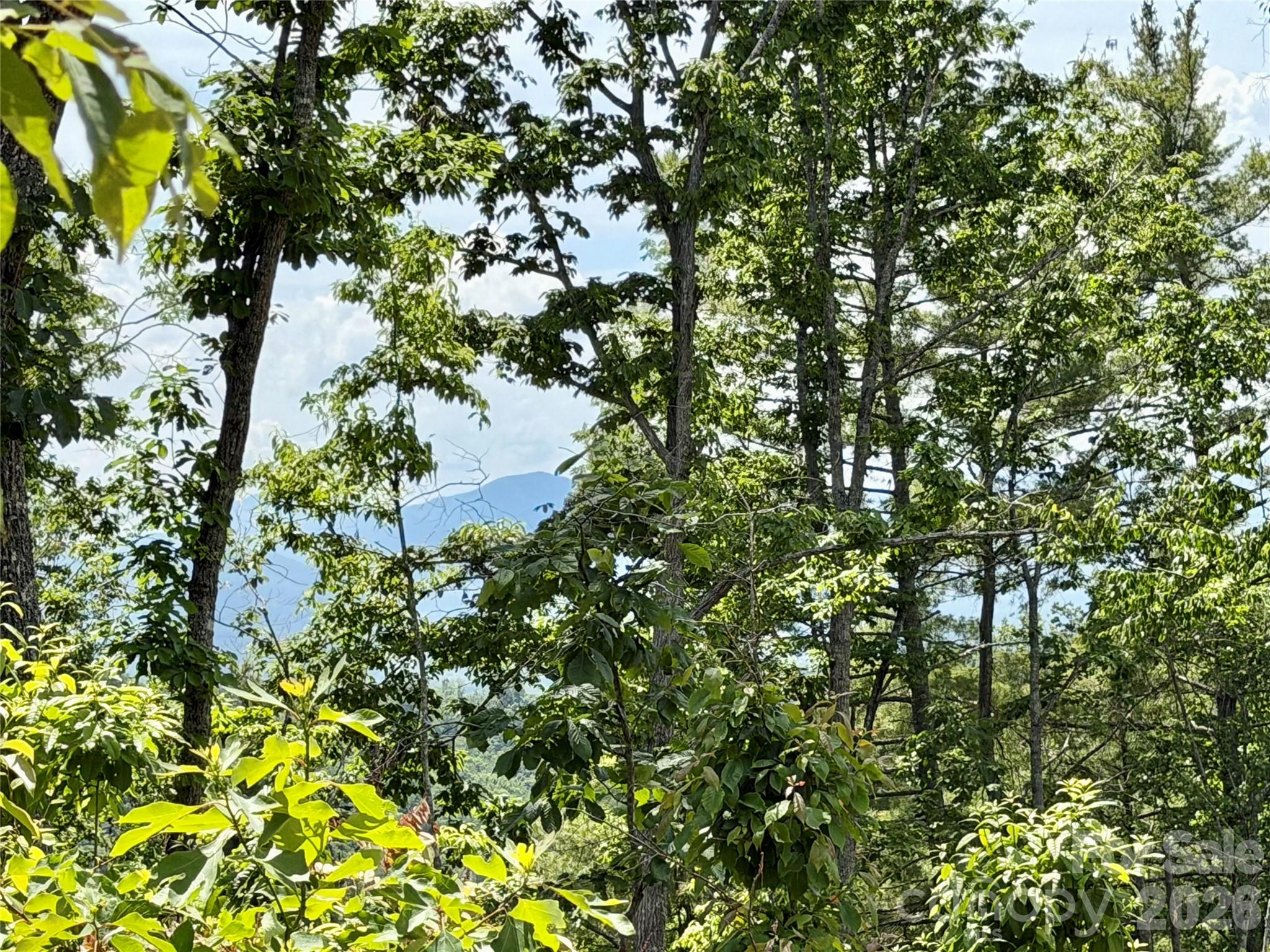 19 Villa Nova Drive Asheville NC 28804
