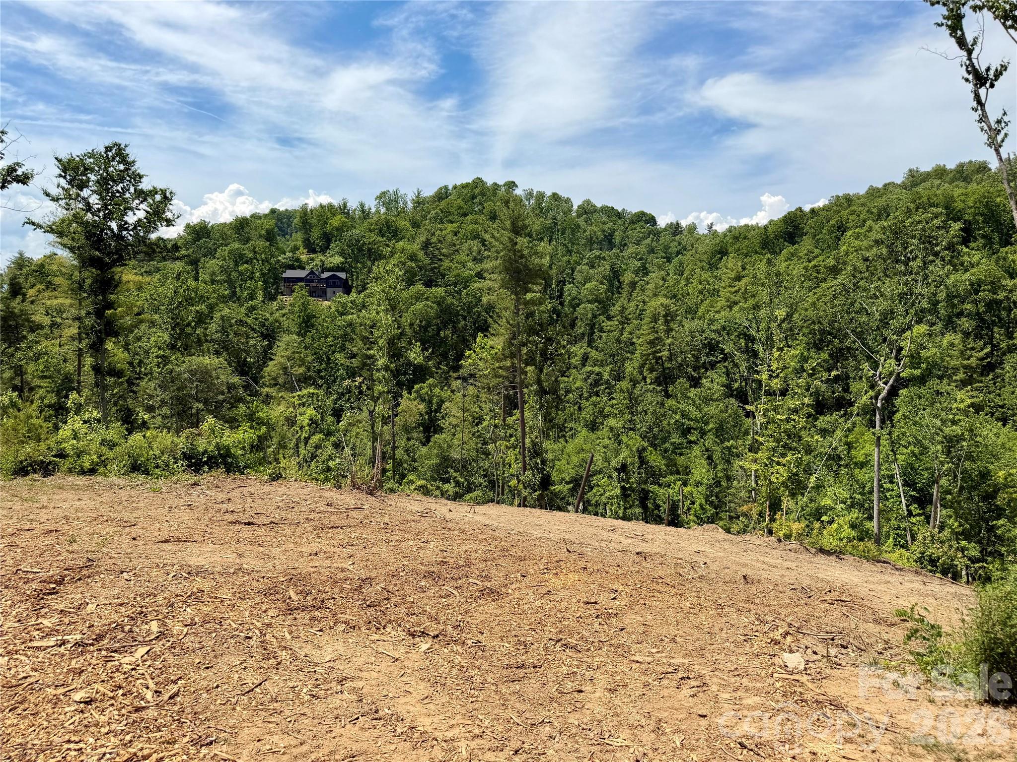 19 Villa Nova Drive Asheville NC 28804