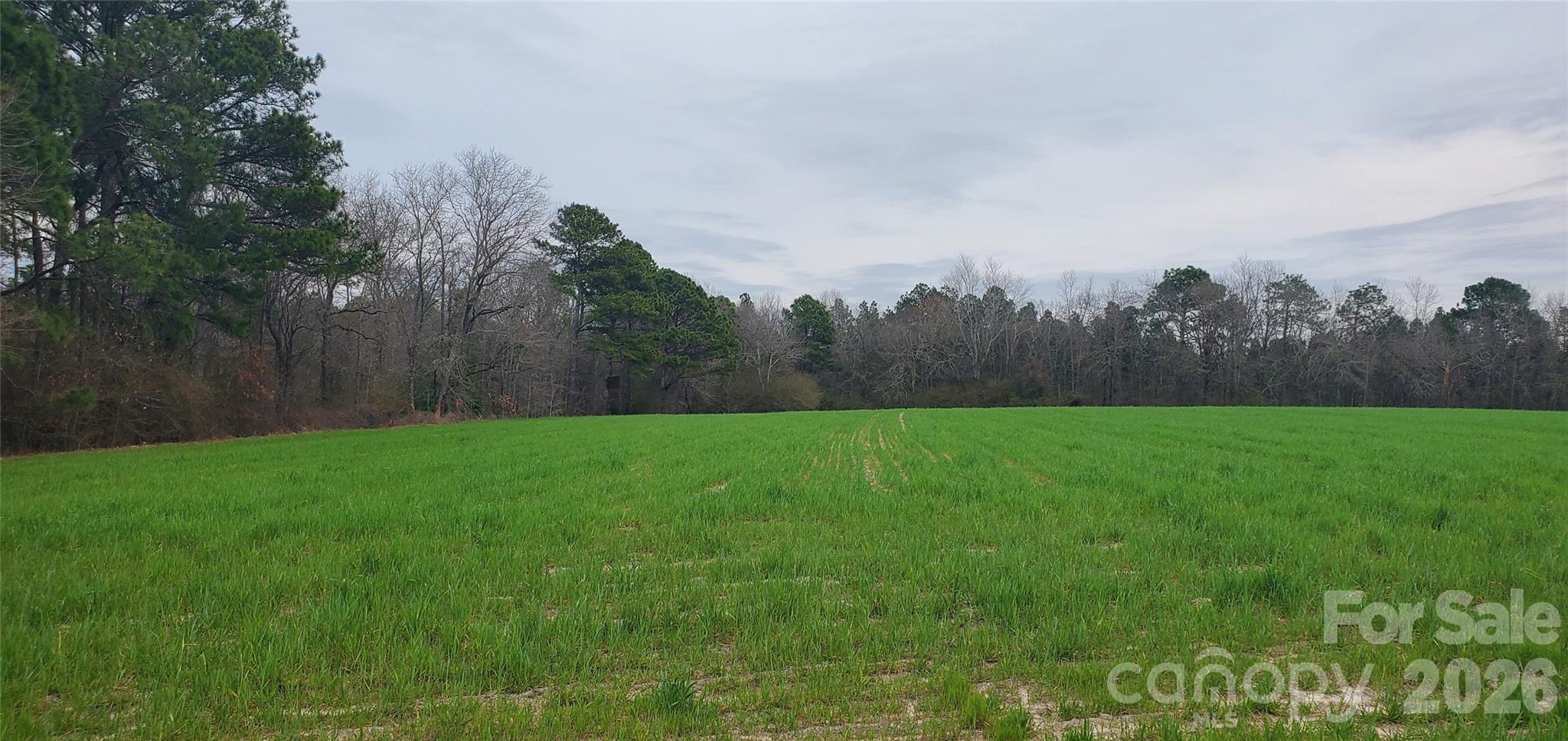 650 Farmers Market Road Biscoe NC 27209