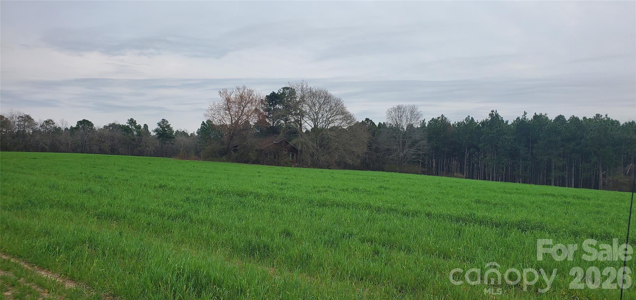 650 Farmers Market Road Biscoe NC 27209