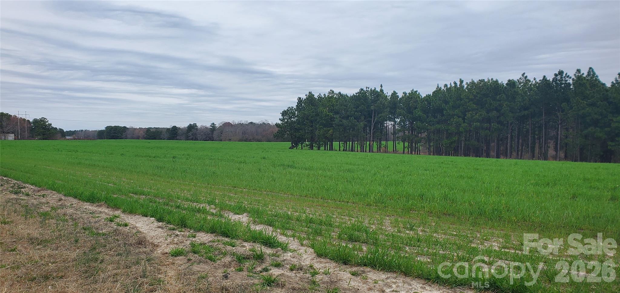 650 Farmers Market Road Biscoe NC 27209
