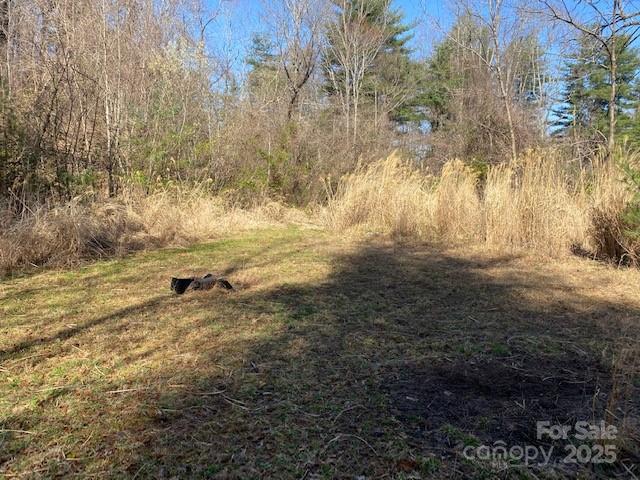 105 Mills Gap Road Asheville NC 28803