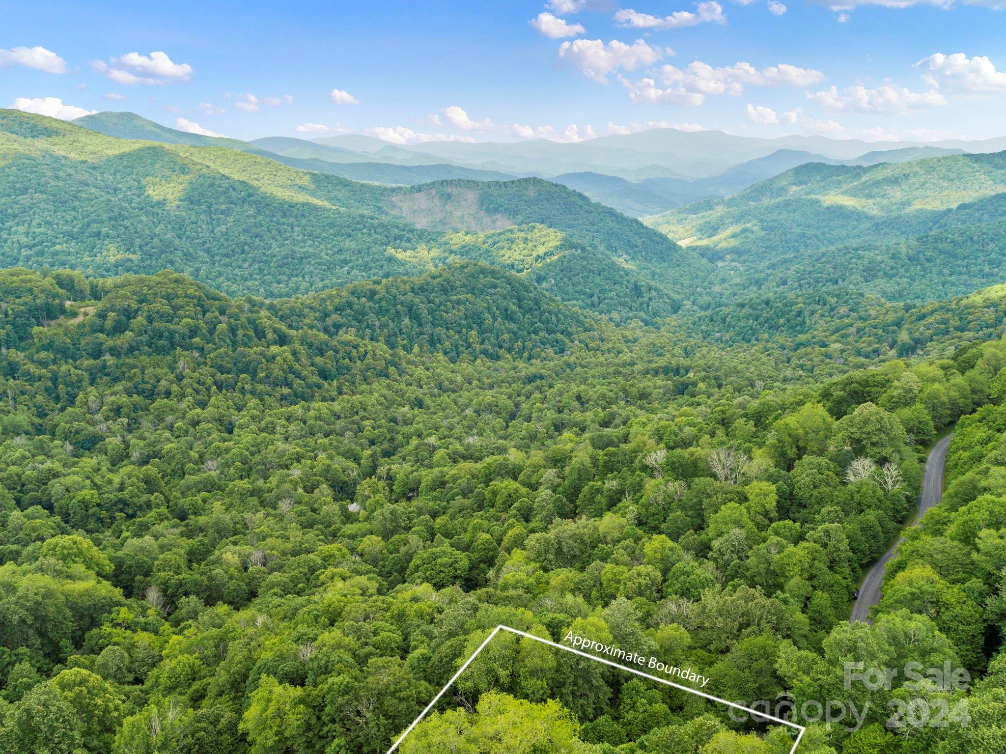 98 Goldenleaf Road Mars Hill NC 28754