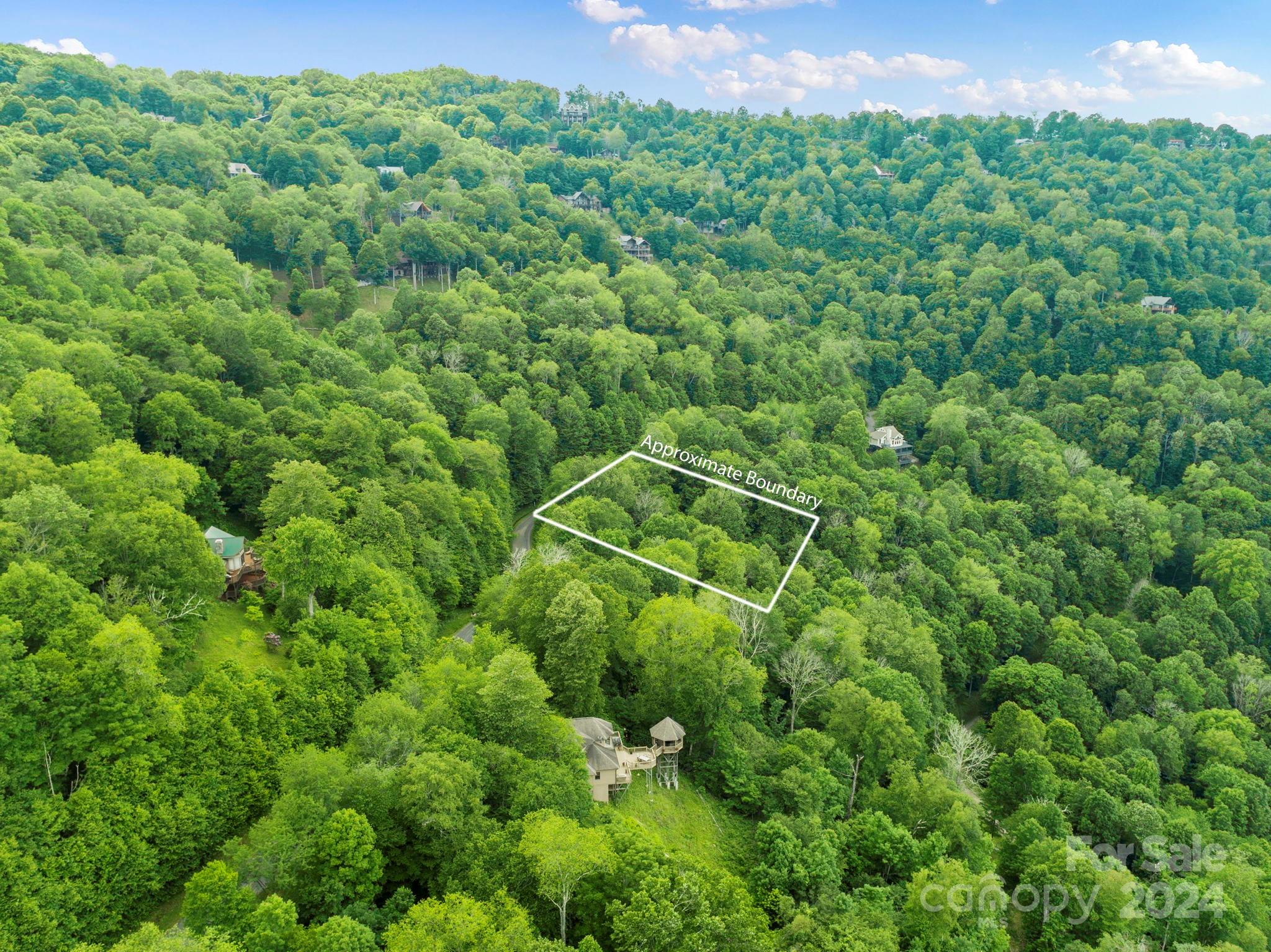 98 Goldenleaf Road Mars Hill NC 28754