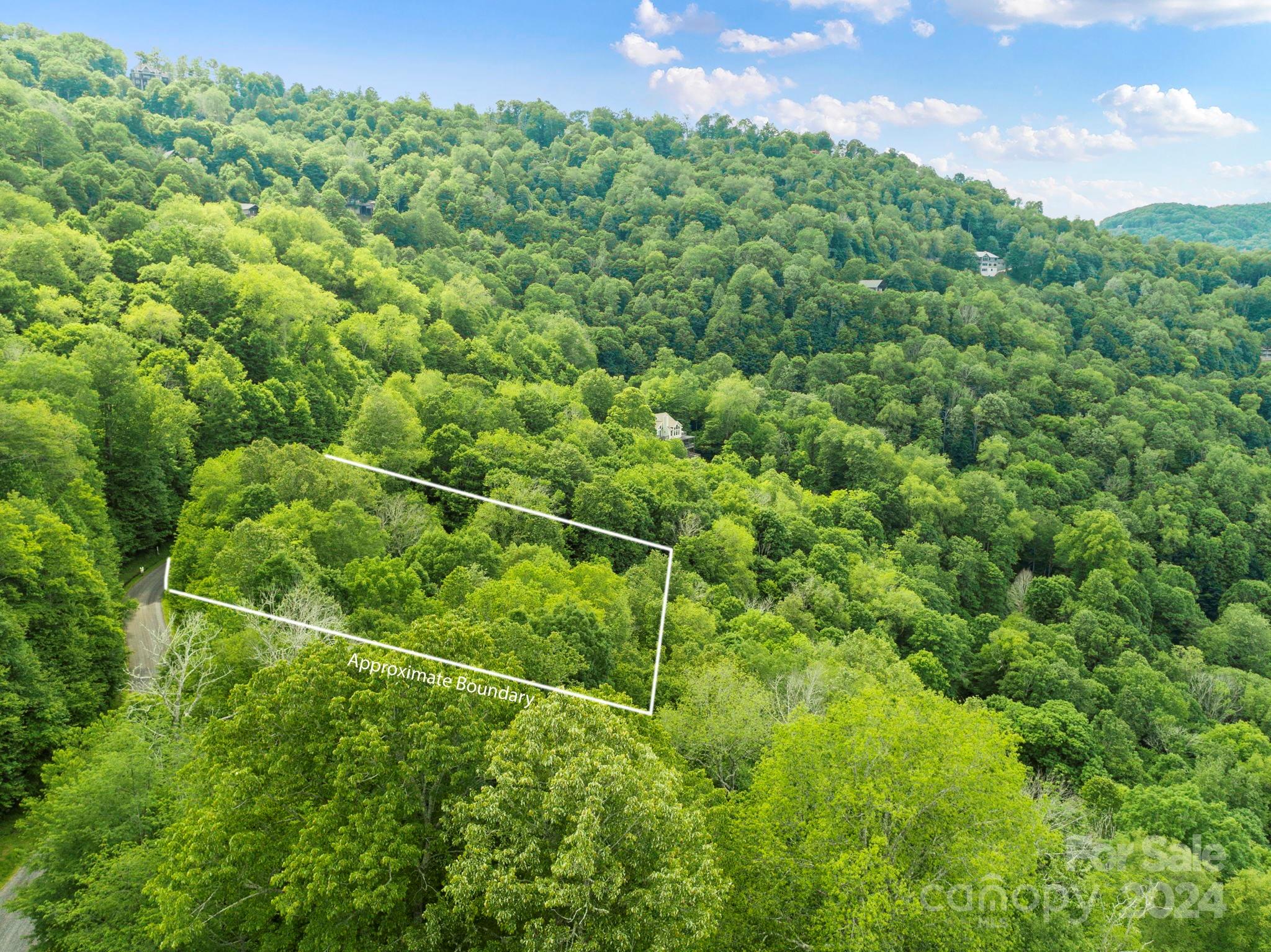 98 Goldenleaf Road Mars Hill NC 28754
