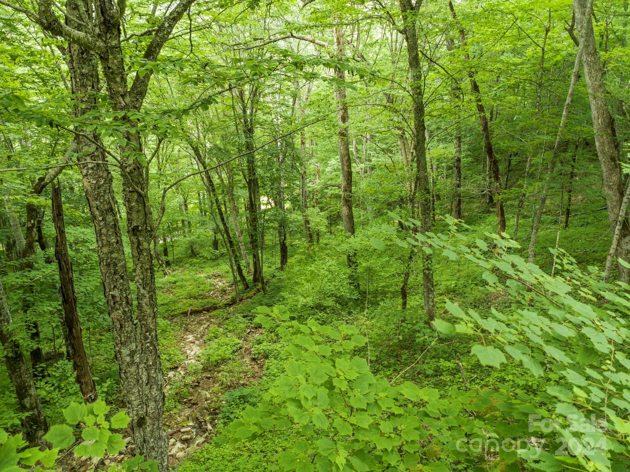 98 Goldenleaf Road Mars Hill NC 28754