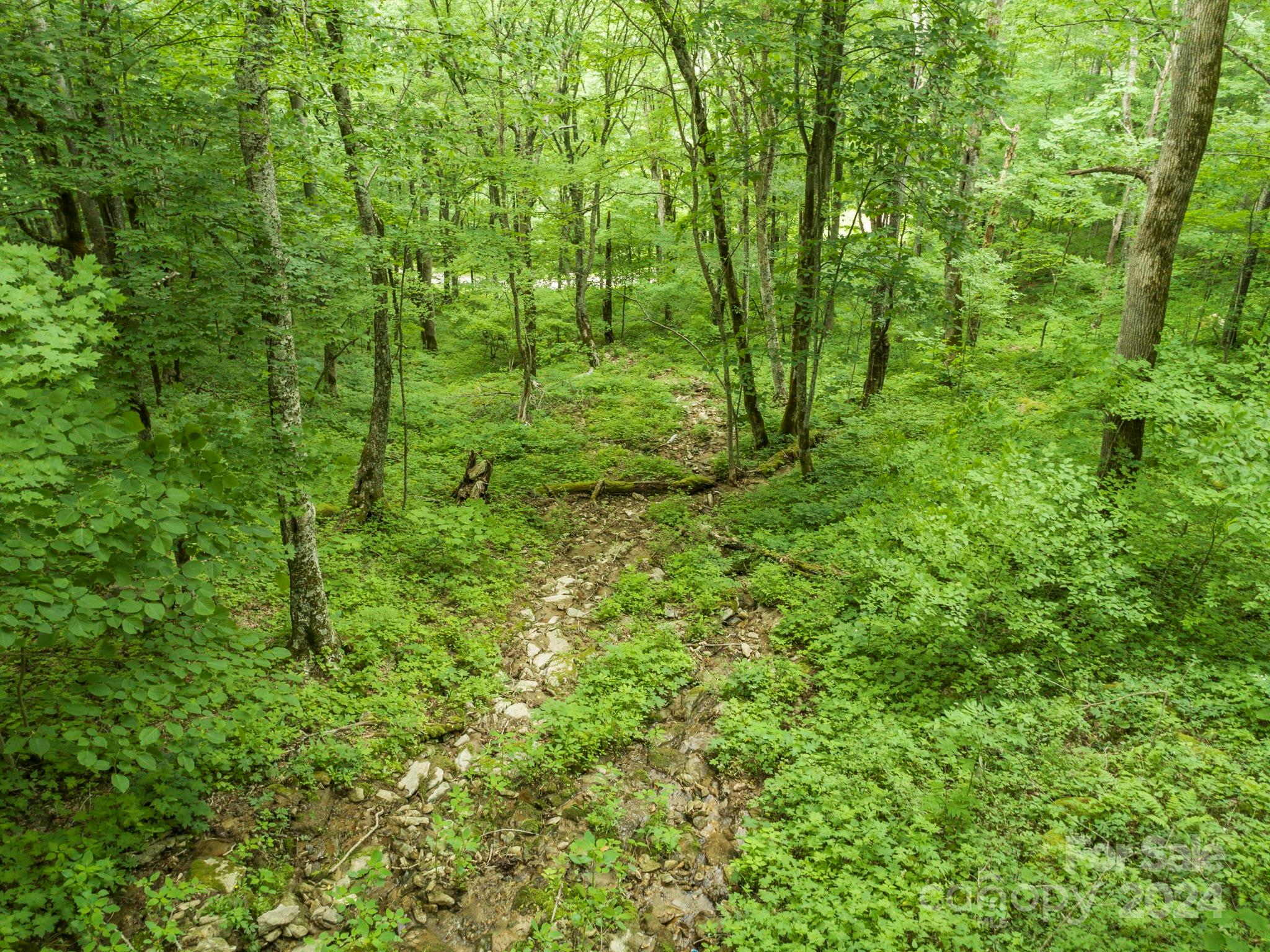 98 Goldenleaf Road Mars Hill NC 28754