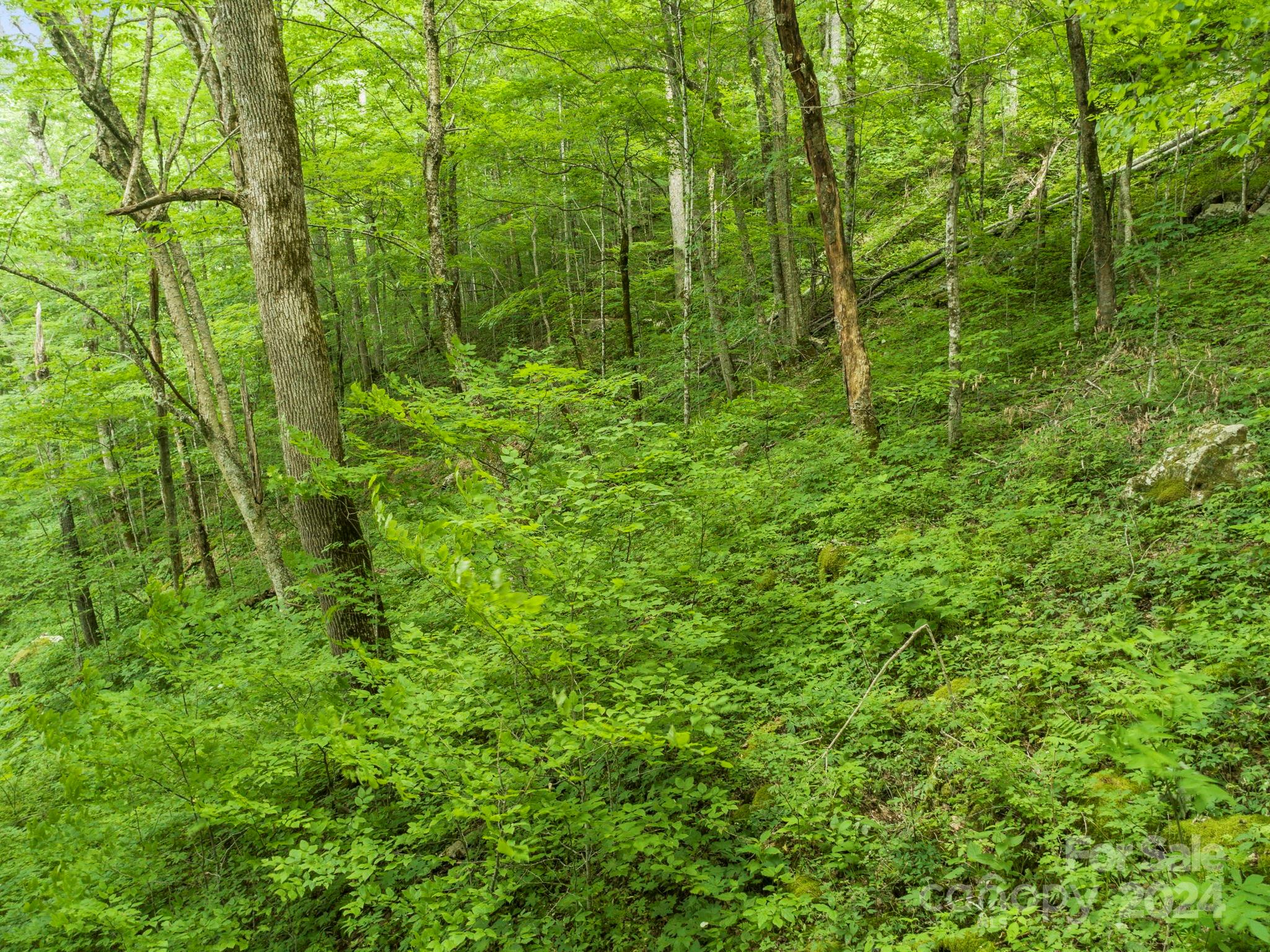 98 Goldenleaf Road Mars Hill NC 28754