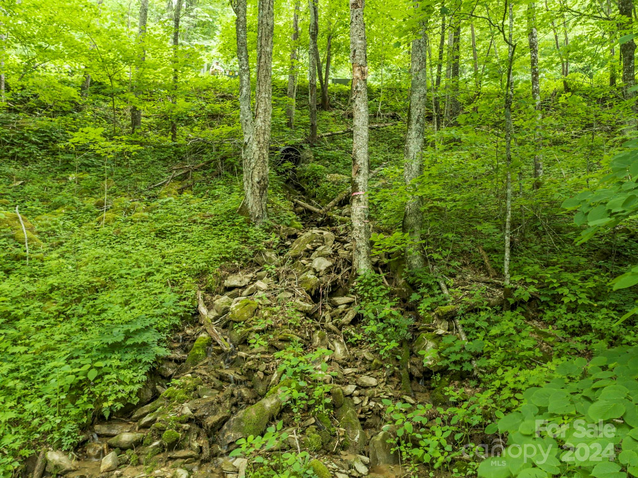 98 Goldenleaf Road Mars Hill NC 28754