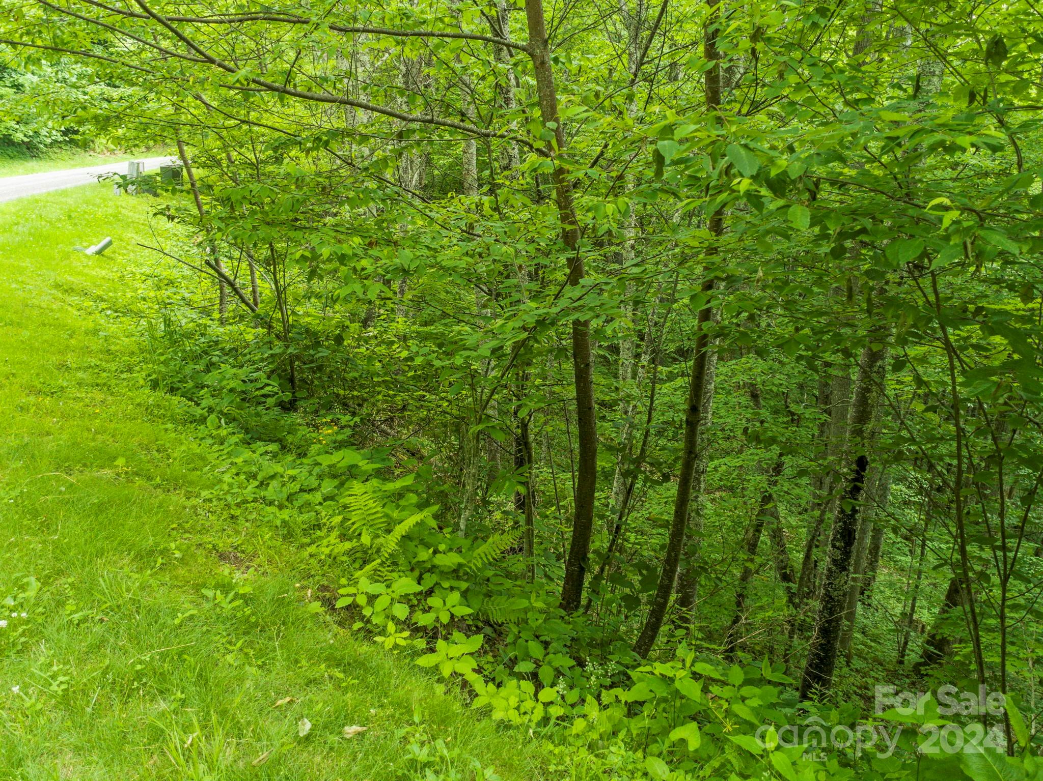 98 Goldenleaf Road Mars Hill NC 28754